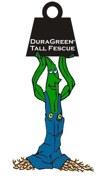 Top-rated lawn mowing service with custom design in Richfield, UT by All American Sod