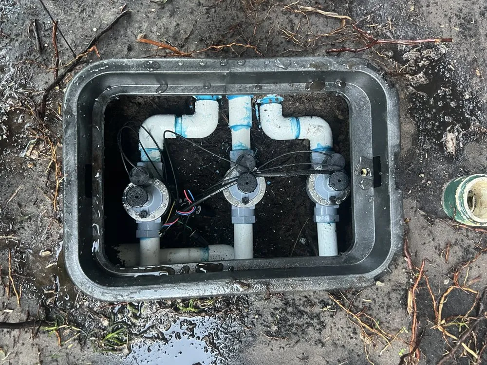 Expert residential landscaping for year-round maintenance in Pompano Beach, FL by All American Sprinklers