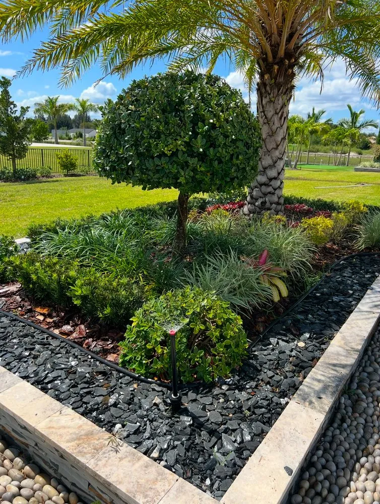 Affordable yard maintenance in Pompano Beach, FL by All American Sprinklers
