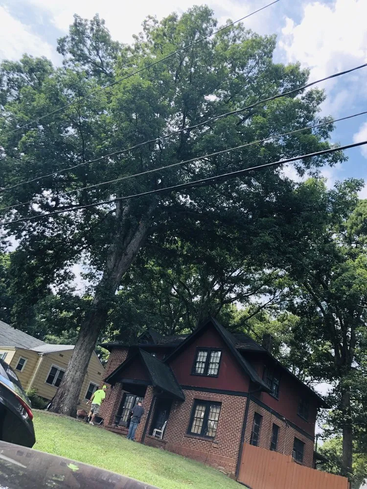 Professional landscape installation in Archdale, NC by All American Tree & Landscaping