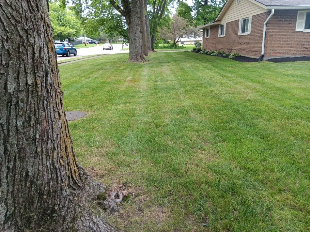 Custom yard cleanup service with custom design in Dayton, OH by All American Tree & Lawn
