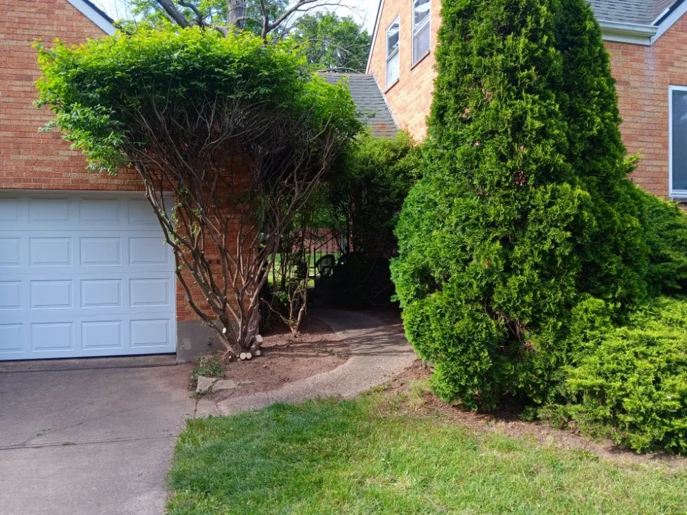 Expert landscape design in Dayton, OH - All American Tree & Lawn