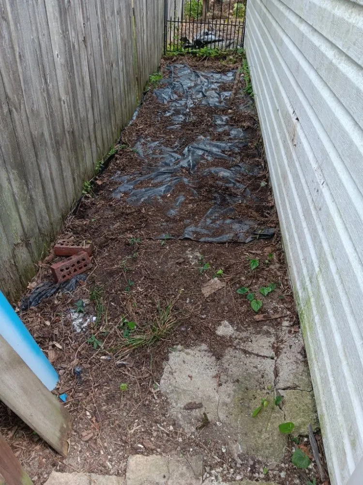 Professional yard maintenance experts serving Dayton, OH - All American Tree & Lawn