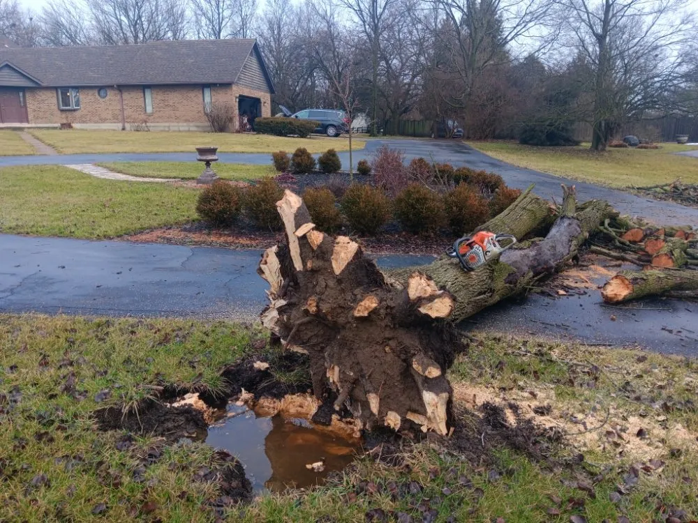 Trusted landscape design for year-round maintenance across Dayton, OH - All American Tree & Lawn