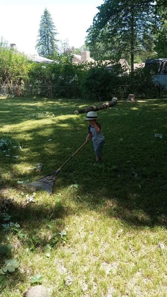 Expert outdoor landscaping for beautiful yards across Dayton, OH - All American Tree & Lawn