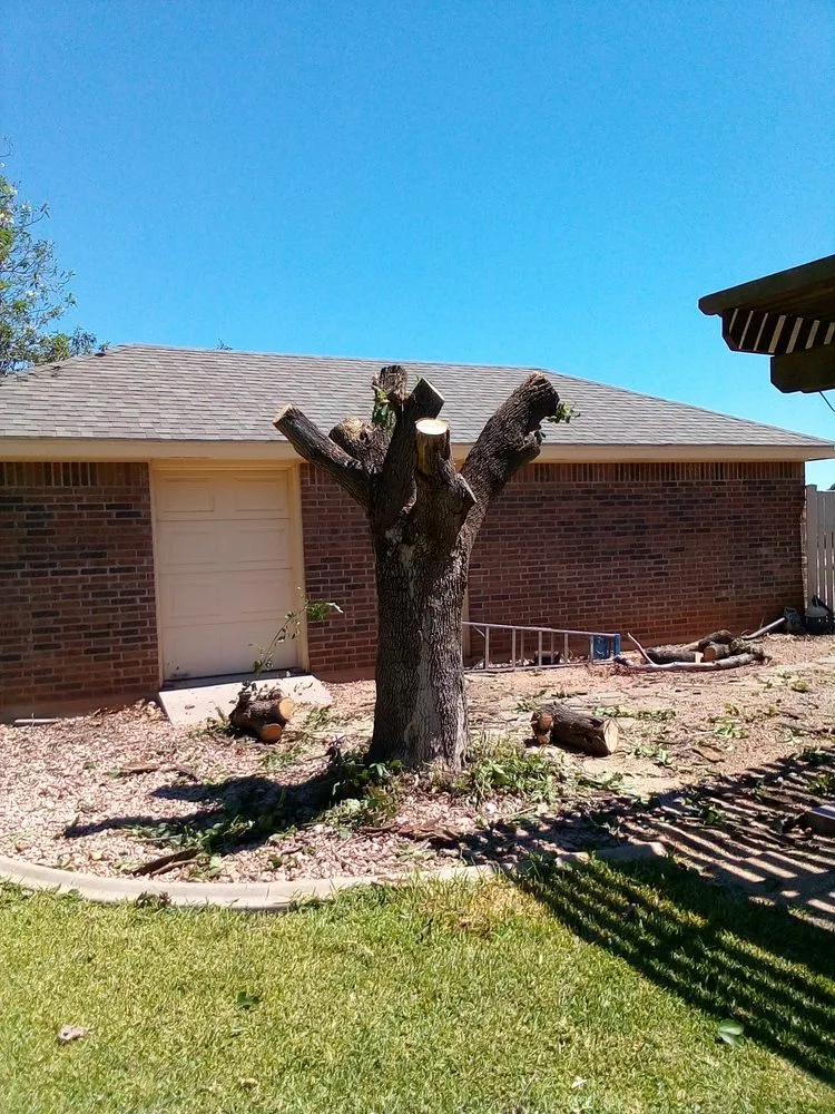 Affordable lawn mowing service experts serving Gatesville, TX - All American Tree and Landscaping