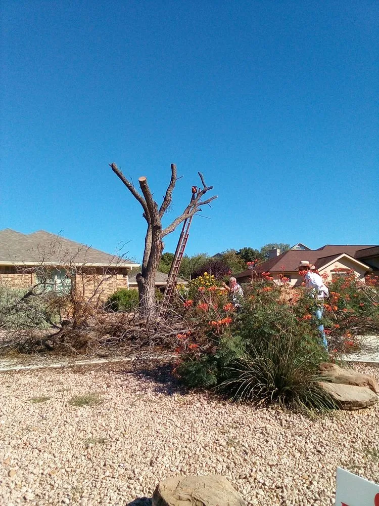 Local yard cleanup service experts serving Gatesville, TX - All American Tree and Landscaping