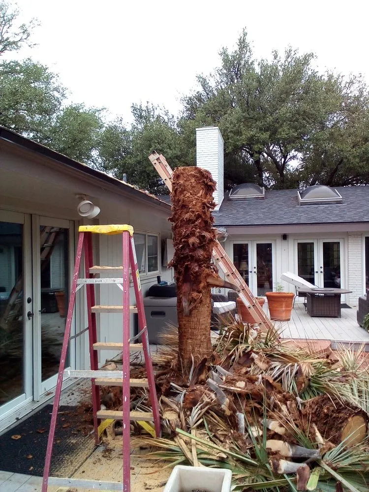 Expert landscape installation in Gatesville, TX by All American Tree and Landscaping