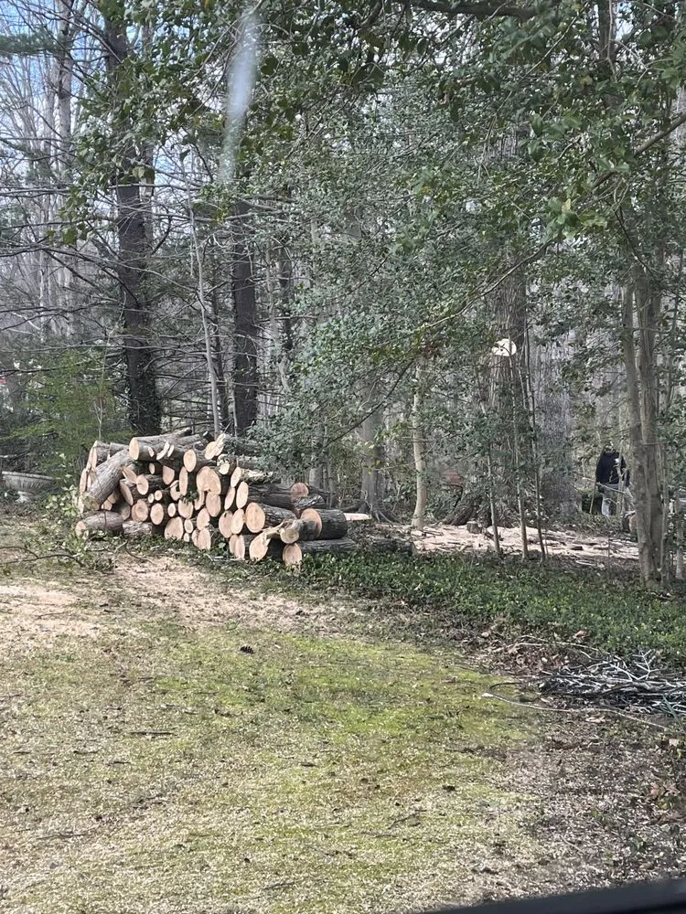 Local yard maintenance for residential properties in Stafford, VA by All American Tree And Landscaping