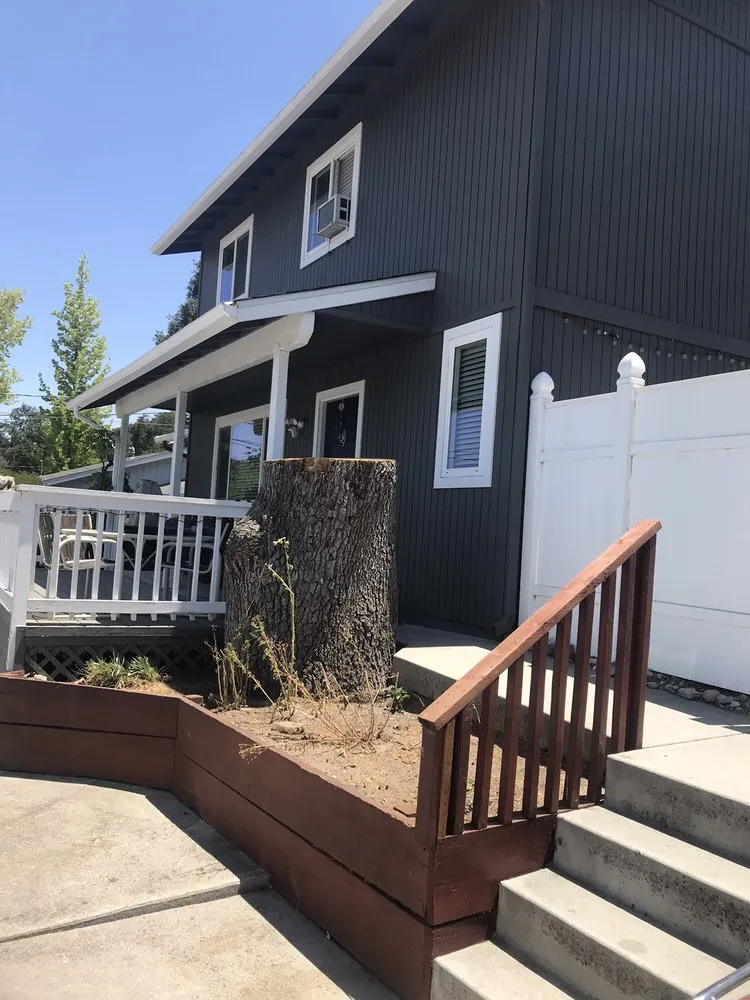 Affordable yard maintenance in Atascadero, CA by All American Tree Care