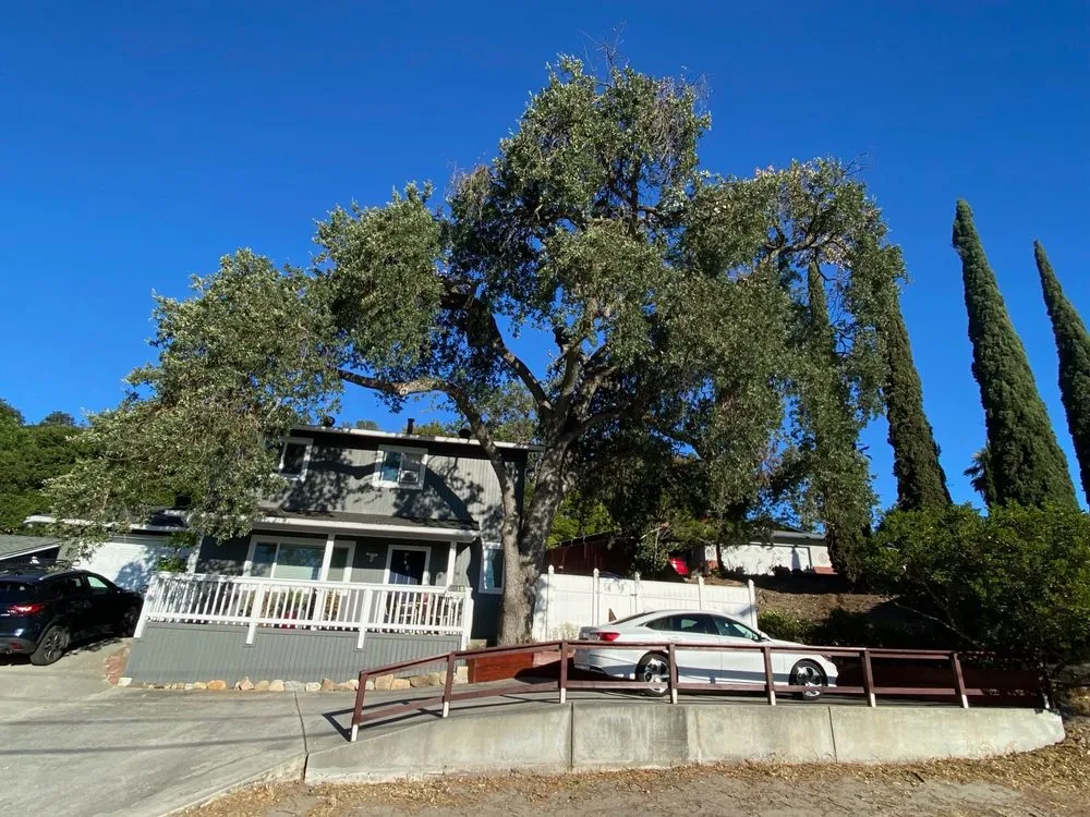 Affordable garden landscaping for outdoor upgrades across Atascadero, CA - All American Tree Care