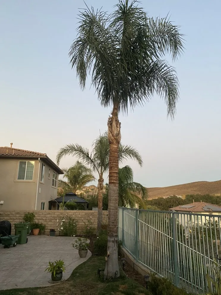 Affordable landscaping services in Flowery branch, GA by ALL AMERICAN TREE SERVICE