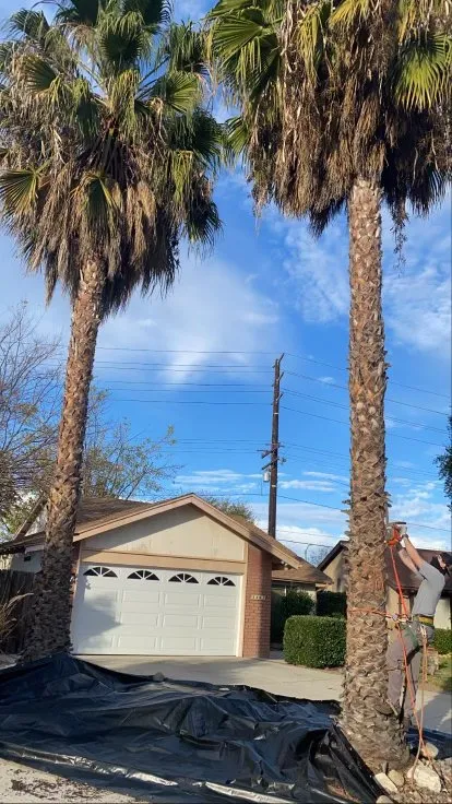 Reliable lawn care service near you in Flowery branch, GA by ALL AMERICAN TREE SERVICE