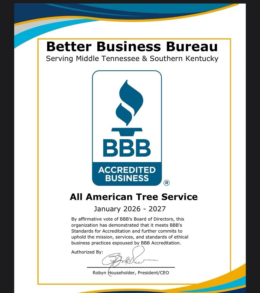 Affordable lawn mowing service in Murfreesboro, TN by All American Tree Service