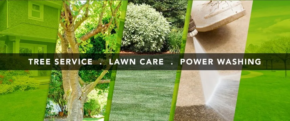 Custom yard cleanup service for beautiful yards in Murfreesboro, TN by All American Tree Service