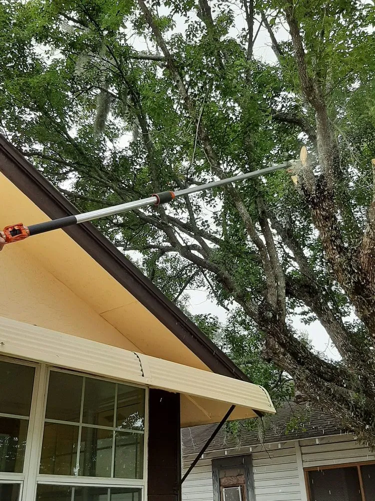Local garden landscaping for residential properties across Sanford, FL - All American Tree Service