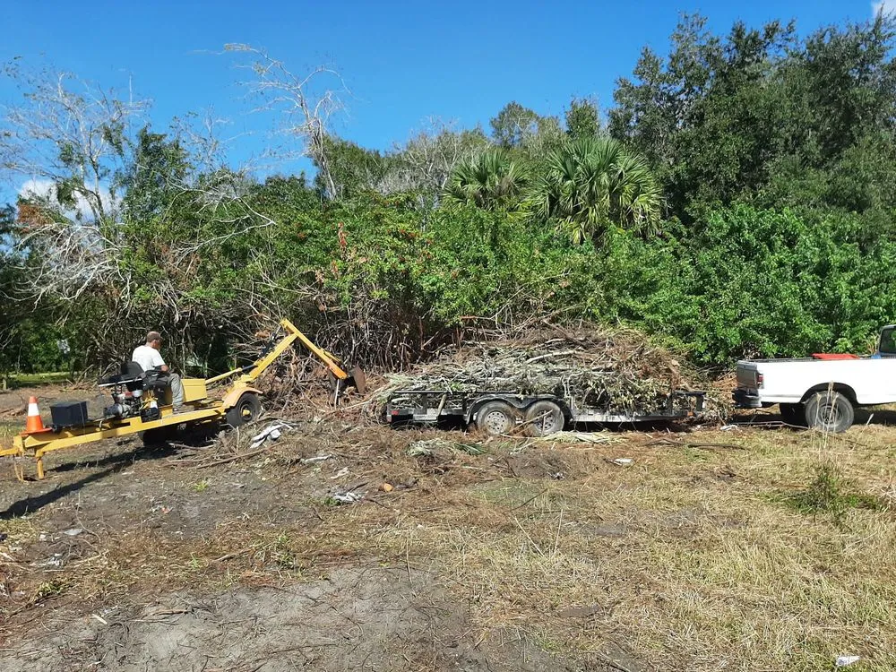 Local landscape installation in Sanford, FL by All American Tree Service