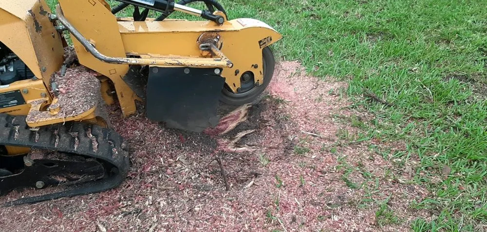 Reliable lawn care service for residential properties across Sanford, FL - All American Tree Service