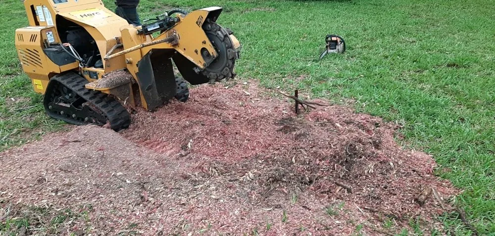 Professional yard cleanup service in Sanford, FL - All American Tree Service