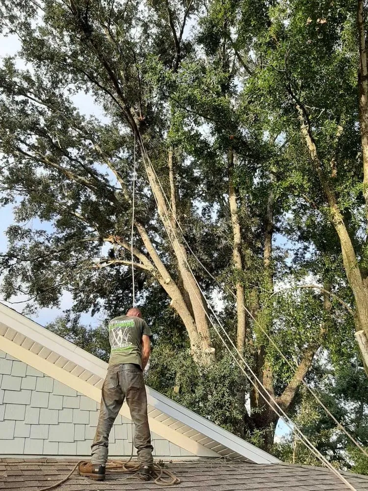 Custom landscaping services with custom design across Sanford, FL - All American Tree Service