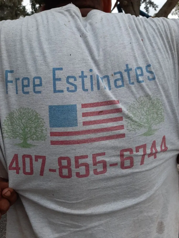 Custom landscaping services for residential properties across Sanford, FL - All American Tree Service