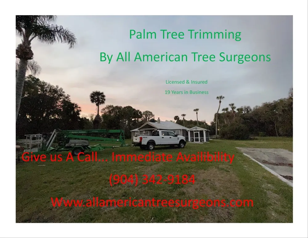 Affordable yard cleanup service near you across St Augustine, FL - All American Tree Surgeons
