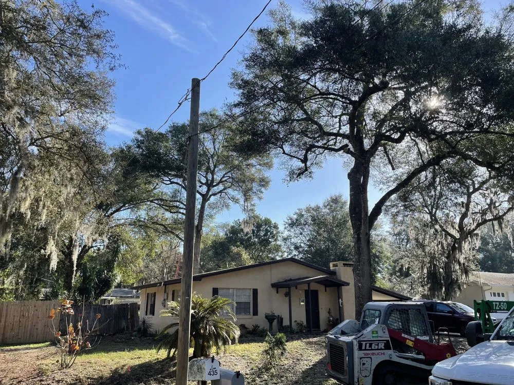 Custom landscaping services in St Augustine, FL - All American Tree Surgeons