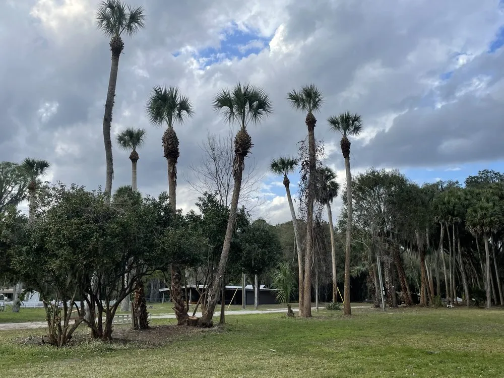Local landscape installation in St Augustine, FL - All American Tree Surgeons