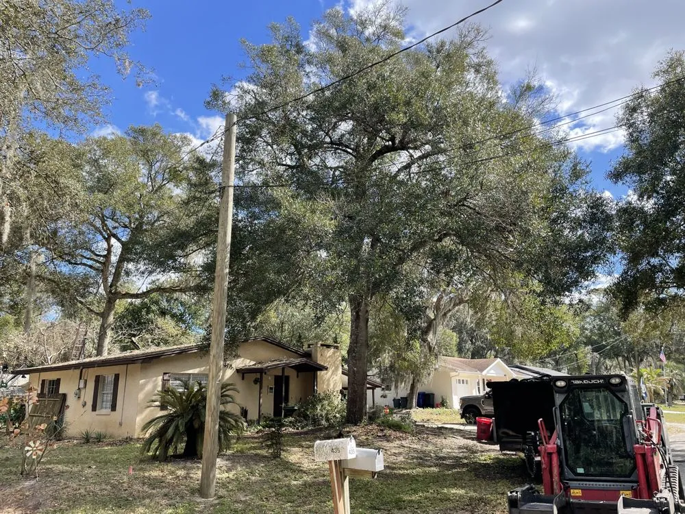 Reliable lawn mowing service in St Augustine, FL by All American Tree Surgeons