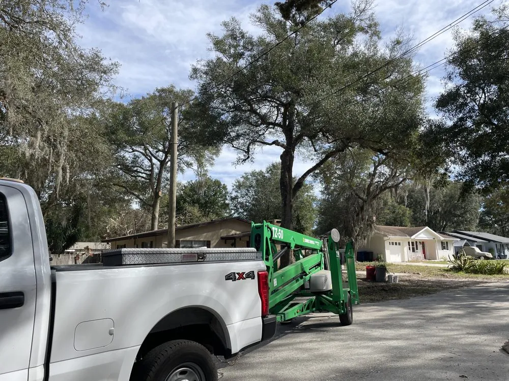 Affordable garden landscaping in St Augustine, FL by All American Tree Surgeons