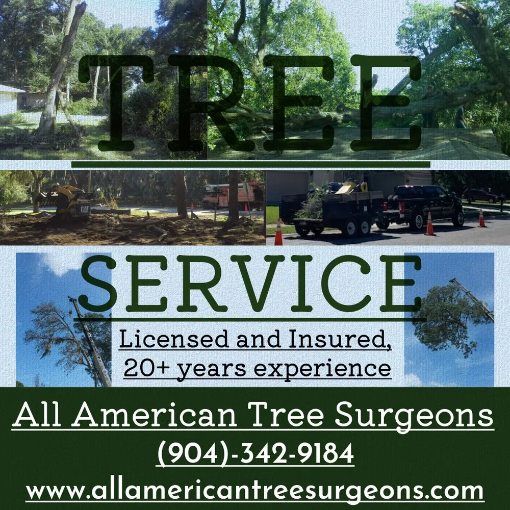 Expert landscaping services in St Augustine, FL by All American Tree Surgeons