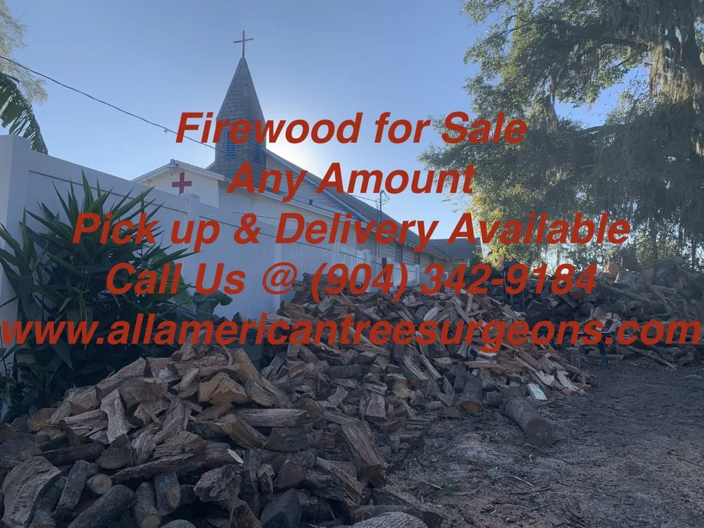 Trusted yard maintenance for beautiful yards across St Augustine, FL - All American Tree Surgeons