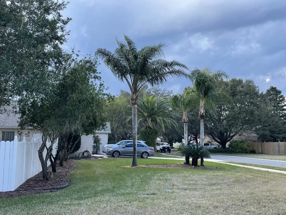 Reliable residential landscaping in St Augustine, FL by All American Tree Surgeons