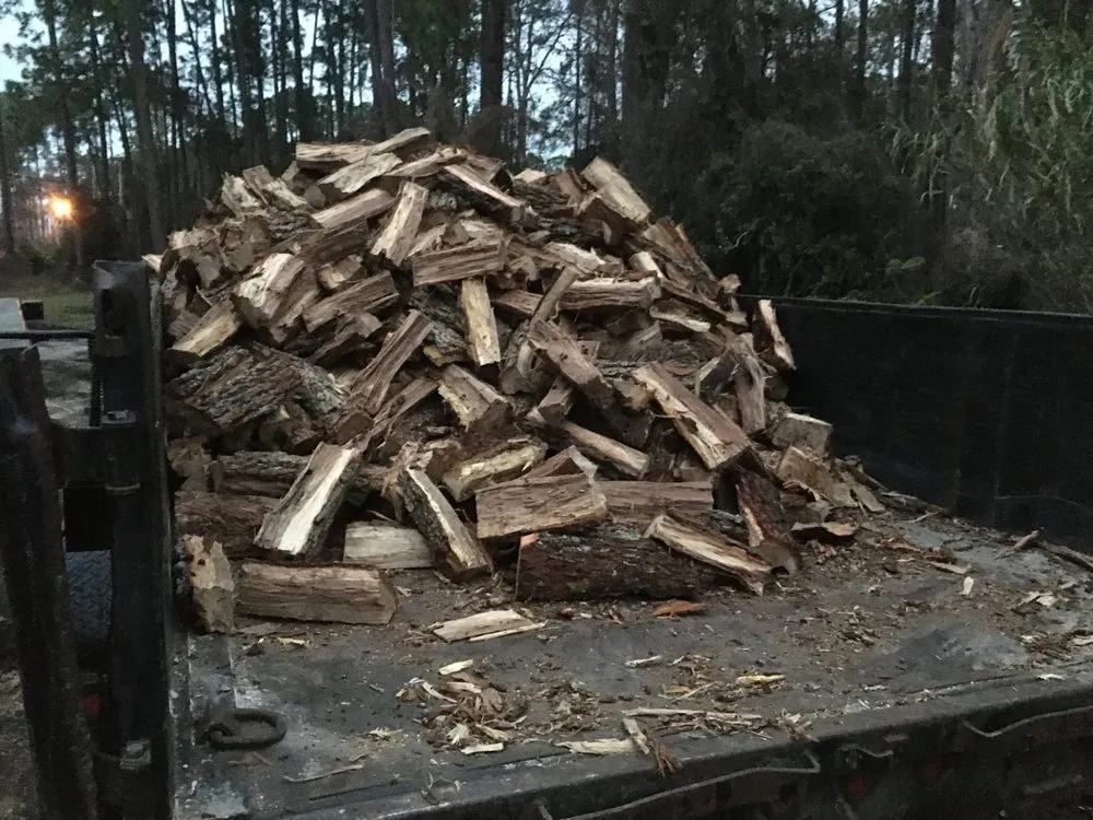 Reliable landscaping services for beautiful yards in St Augustine, FL by All American Tree Surgeons