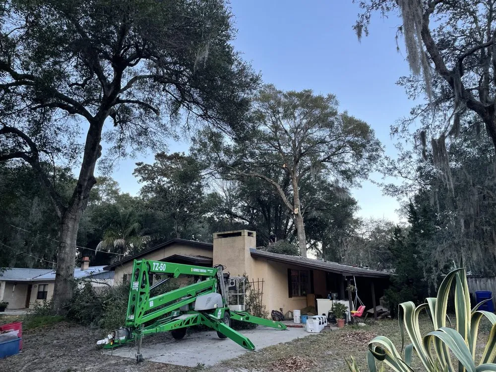 Local residential landscaping in St Augustine, FL by All American Tree Surgeons