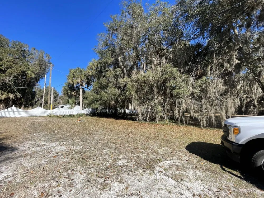 Top-rated landscape installation for outdoor upgrades across St Augustine, FL - All American Tree Surgeons