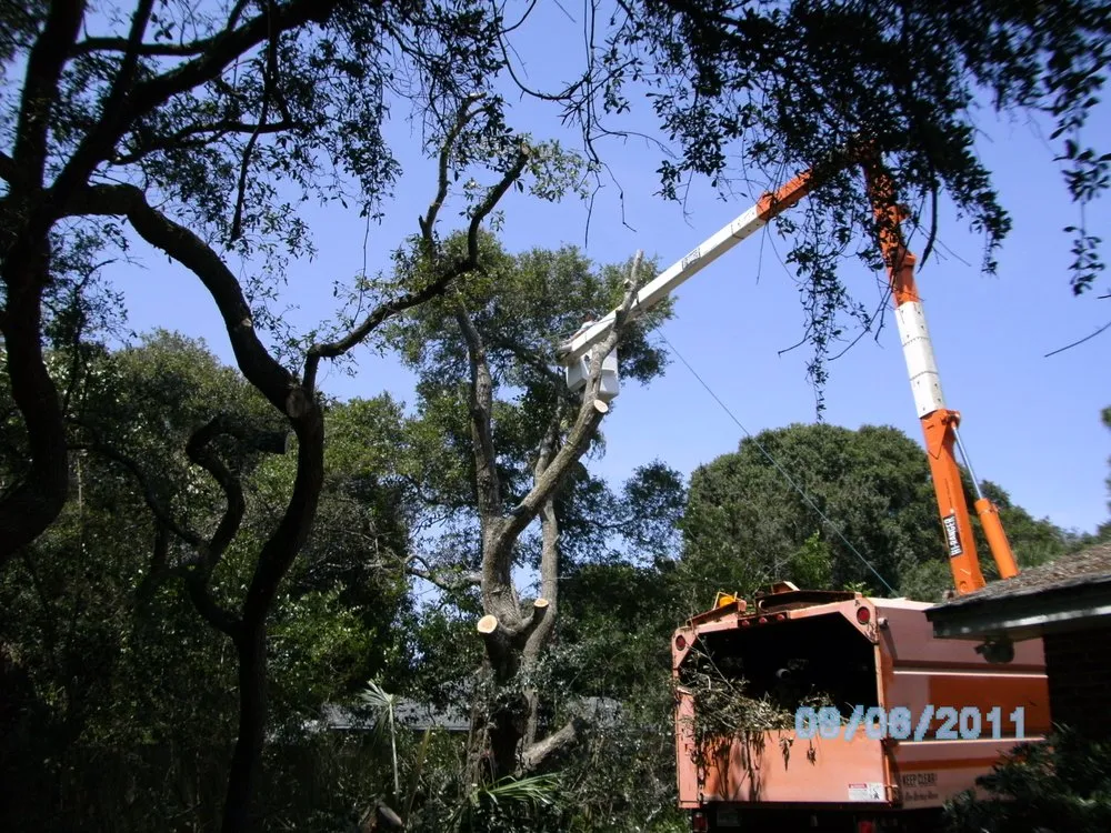 Affordable garden landscaping for residential properties in St Augustine, FL by All American Tree Surgeons