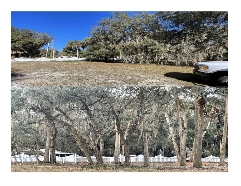 Top-rated residential landscaping in St Augustine, FL by All American Tree Surgeons