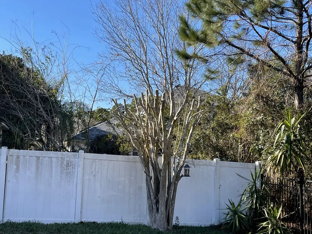 Reliable garden landscaping in St Augustine, FL by All American Tree Surgeons