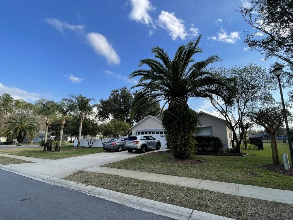 Custom residential landscaping in St Augustine, FL - All American Tree Surgeons
