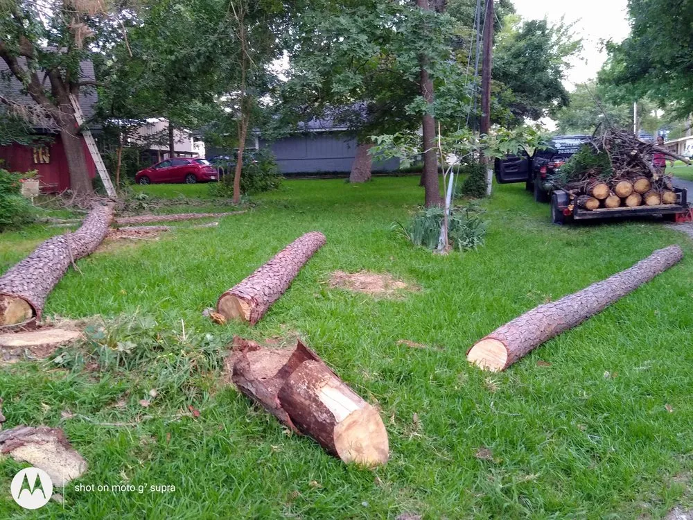 Affordable landscaping services for year-round maintenance in Pottsboro, TX by ALL American Trees And More