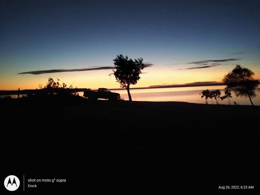 Trusted lawn care service experts serving Pottsboro, TX - ALL American Trees And More