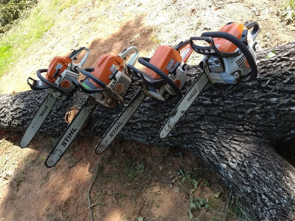 Trusted yard cleanup service in Pottsboro, TX by ALL American Trees And More