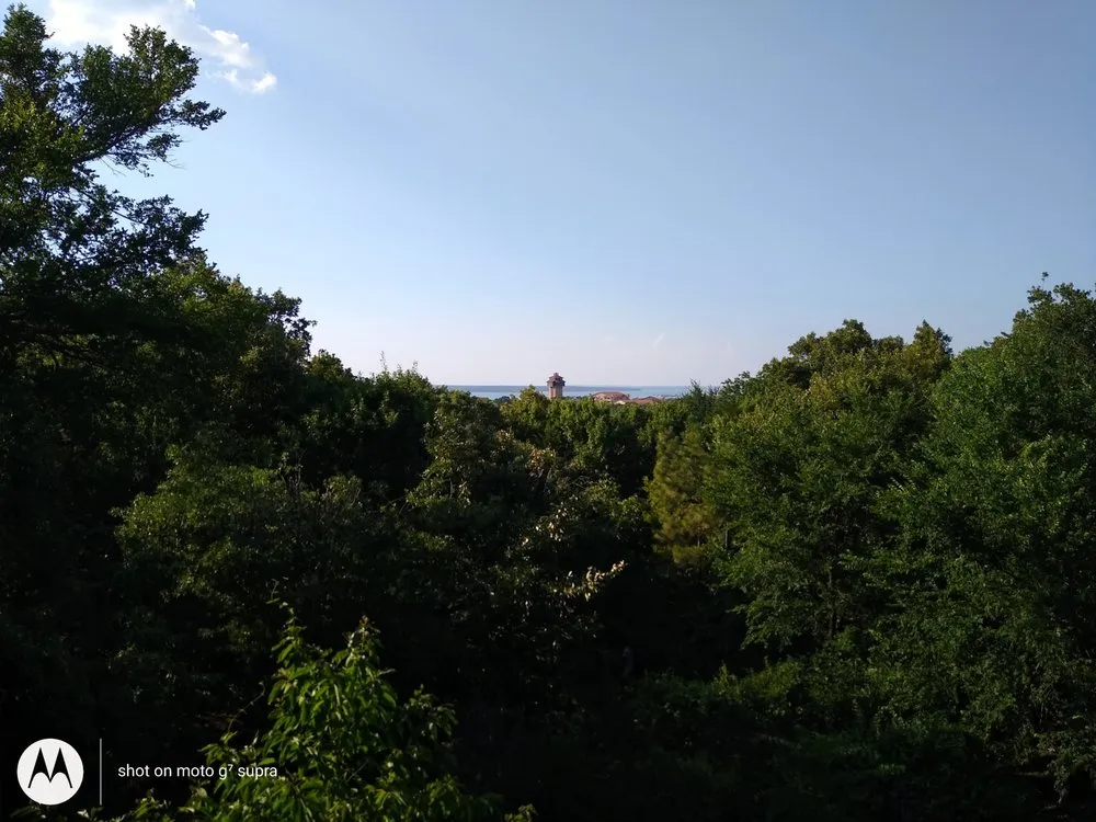 Top-rated yard maintenance in Pottsboro, TX by ALL American Trees And More