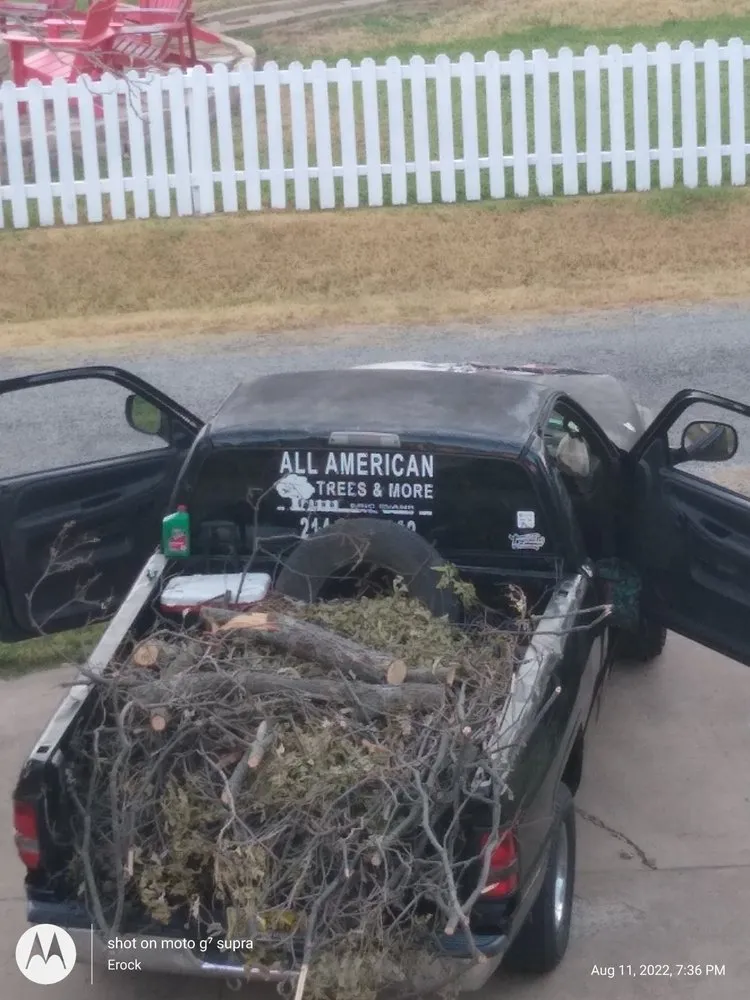 Local yard cleanup service with custom design in Pottsboro, TX by ALL American Trees And More