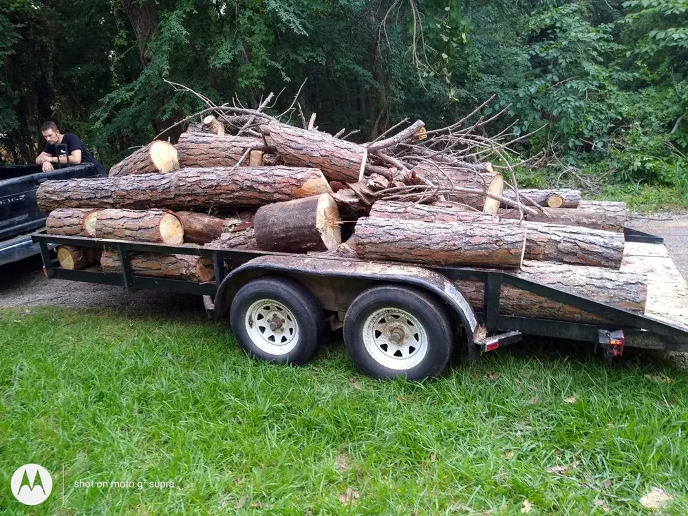 Top-rated lawn mowing service for residential properties in Pottsboro, TX by ALL American Trees And More