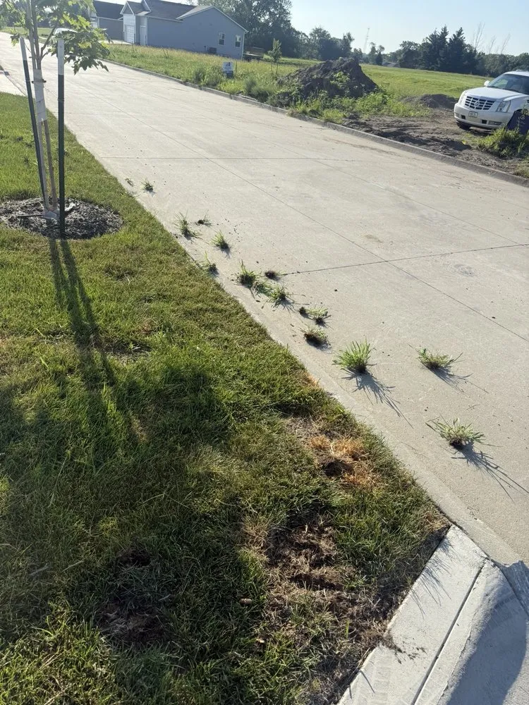 Affordable landscaping services experts serving Van Meter, IA - All American Turf Beauty