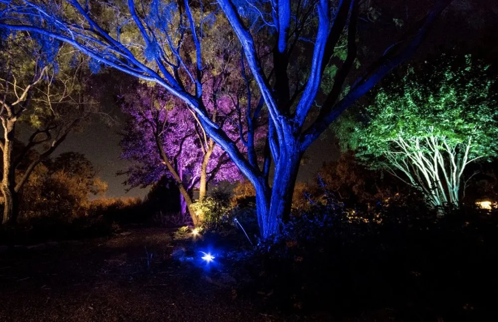 Professional landscaping services experts serving Van Meter, IA - All American Turf Beauty