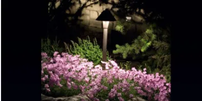 Custom yard cleanup service experts serving Van Meter, IA - All American Turf Beauty