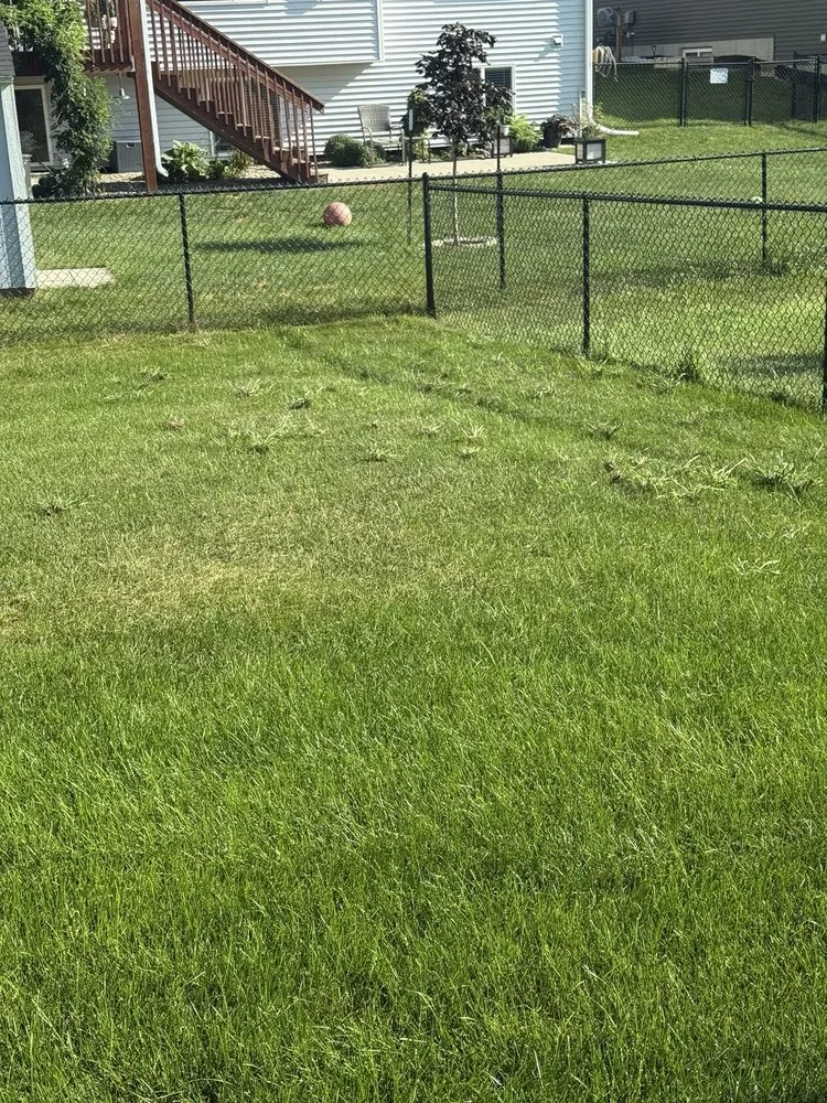 Reliable landscaping services experts serving Van Meter, IA - All American Turf Beauty